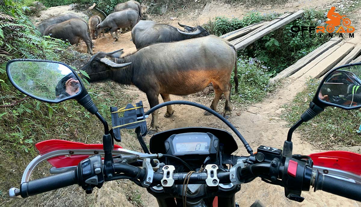 Offroad Vietnam Motorbike Adventures - 9 days Vietnam Northwest motorcycle tour via Son La.