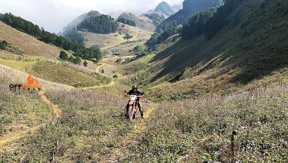 Vietnam motorbike adventures of Central North Roof Roads by Honda off road motorbikes Hanoi - Phu Yen - Mu Cang Chai - Sapa